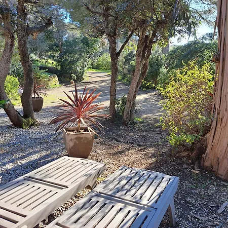 Bed & Breakfast Clos Helene Hyeres